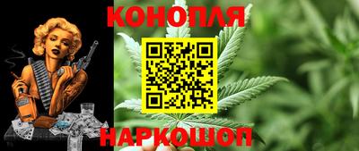прущие грибы Заводоуковск